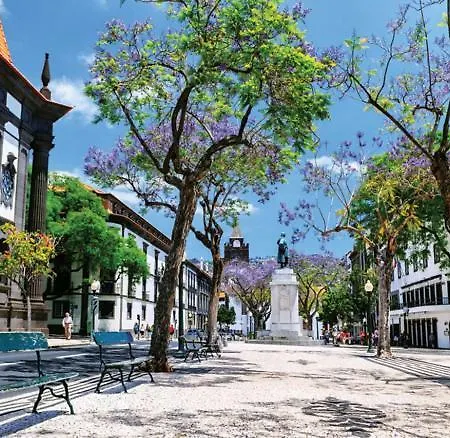 Madeira Funchal Top 2 *